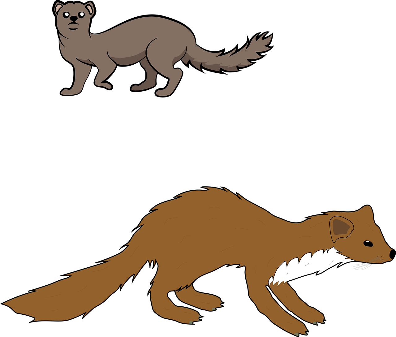 Nenechte si zničit střechu nad hlavou: Zvolte profesionální a šetrné řešení pro vypuzení kuny